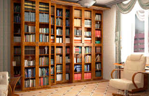 Možnosti pre knižnice so sklenenými dverami a ich vlastnosti