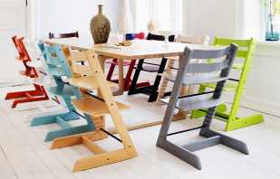 כיסא גדל של Kidfix - תכונות ויתרונות לעיצוב
